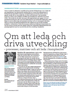 Om att leda och driva utveckling 130527